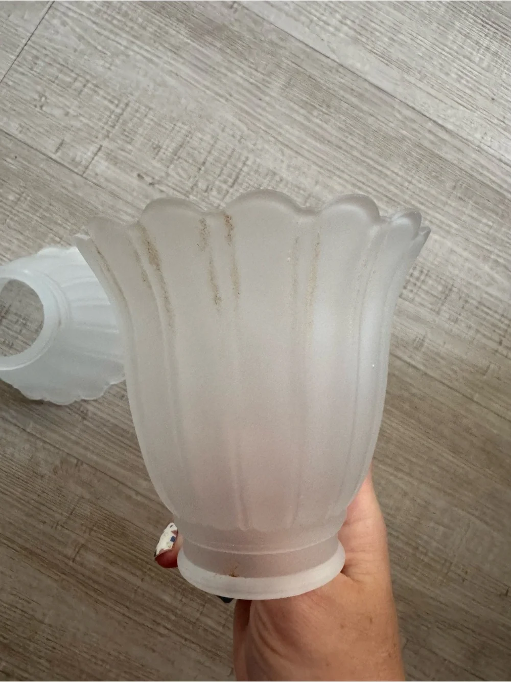 Vintage Frosted Glass Shade Set - Pair